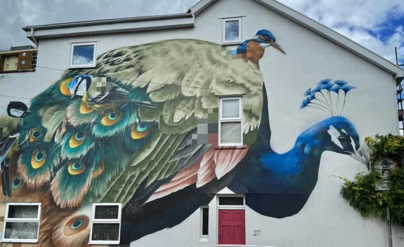 Peacock mural by Aspire for Upfest in Windmill Hill, Bristol