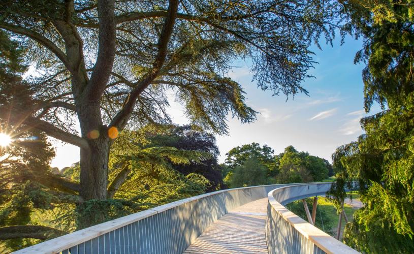 Treetop walkway at Westonbirt Arboretum - credit Johnny Hathaway