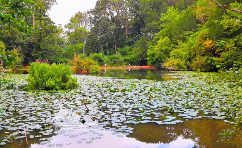 Abbots Pool in Bristol - Credit Max Rawlinson