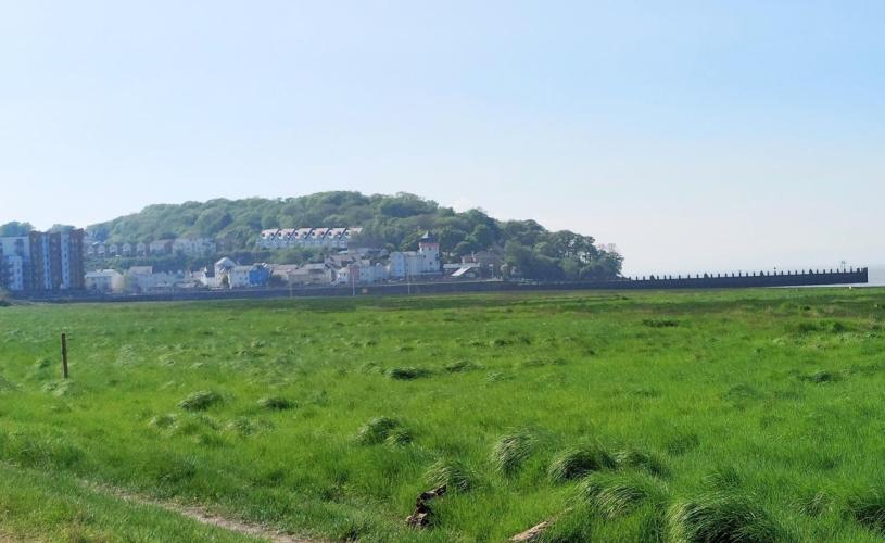Portbury Wharf Nature Reserve  - Credit Max Rawlinson
