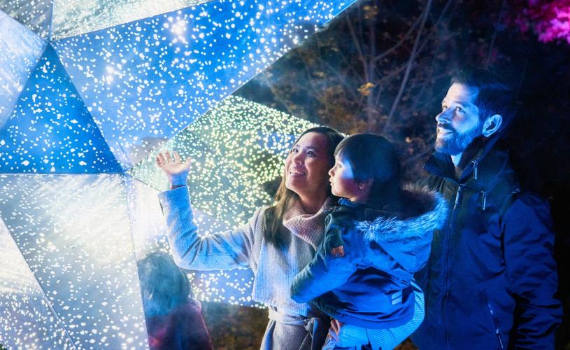 Family in light trail at Westonbirt Arboretum by Studio Vertigo - credit Sony Music