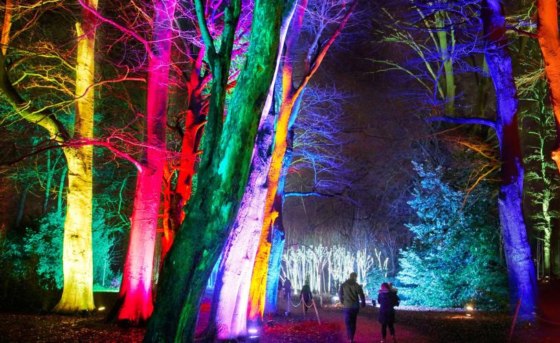 Christmas light trail at Westonbirt Arboretum - credit Sony Music