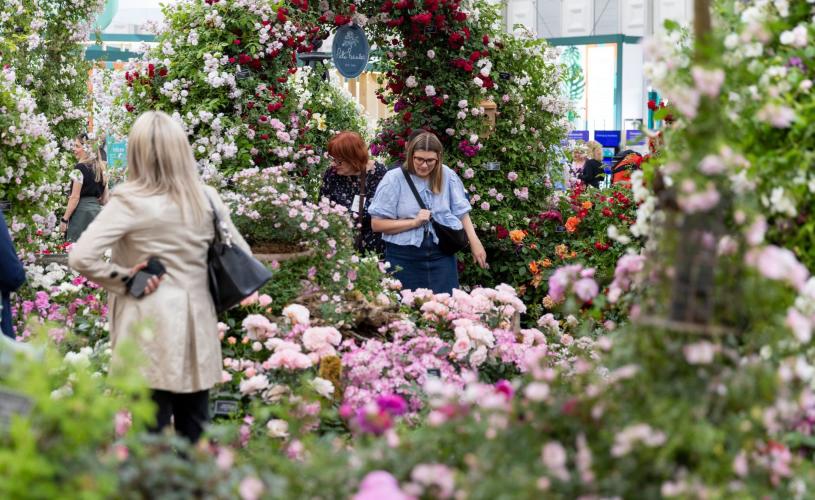 RHS Badminton Flower Show