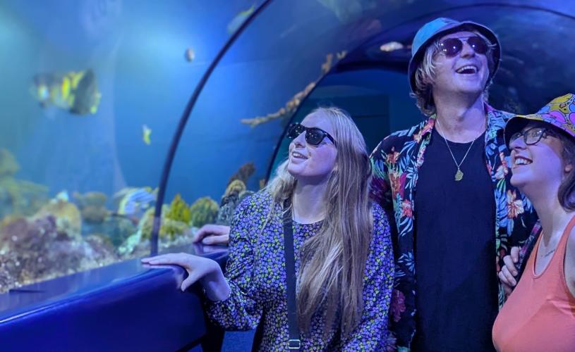 Person looking at fish tank at Bristol Aquarium - credit Bristol Aquarium