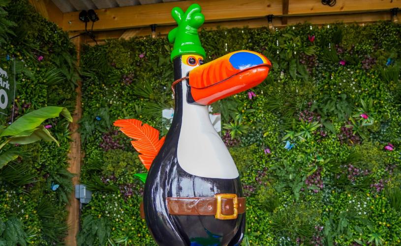 Toucan Tango Feathers Mcgraw at Noahs Ark Zoo Farm - credit Noahs Ark Zoo Farm