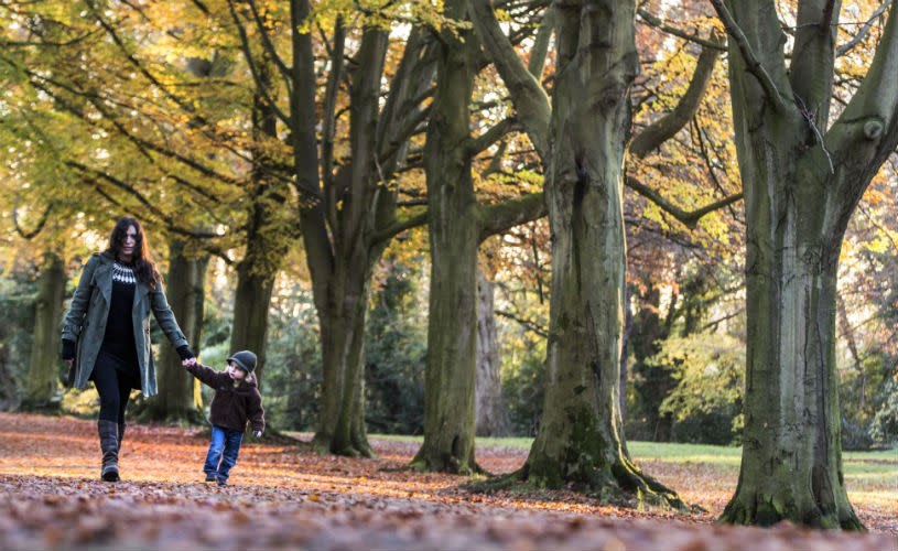 Mother and child walking around an autumnal Clifton Down in Bristol - credit Paul Box