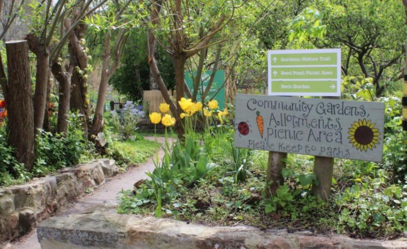 The community gardens allotments at Windmill Hill City Farm, Bristol - credit Windmill Hill City Farm