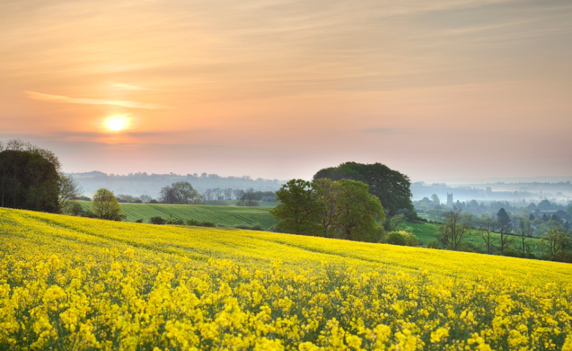 View over fields in The Cotswolds, United Kingdom