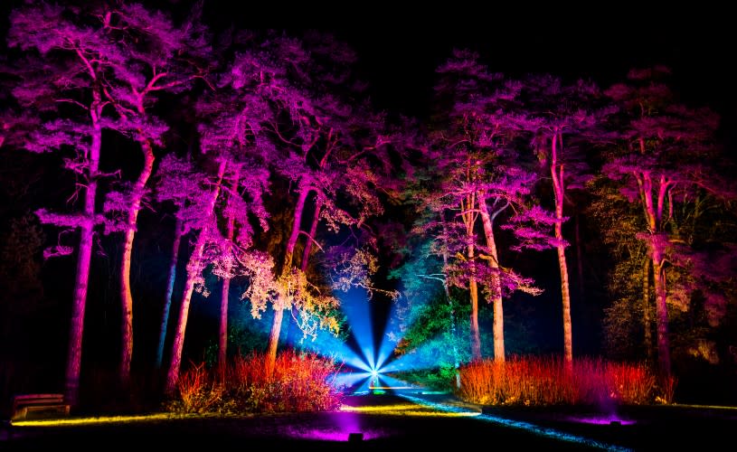 Lit up colourful trees at Westonbirt - Credit Johnny Hathaway