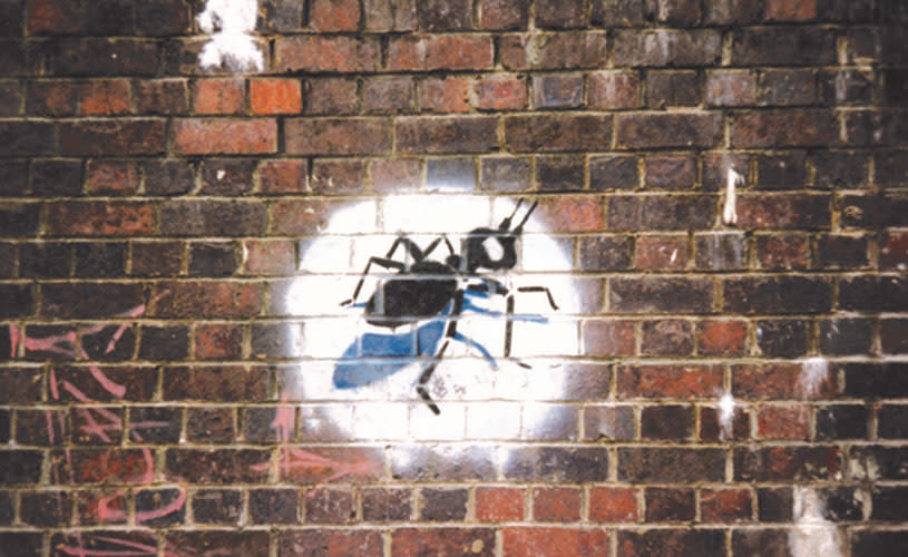 Banksy's ant in a spotlight stencil. Credit - Tangent Books