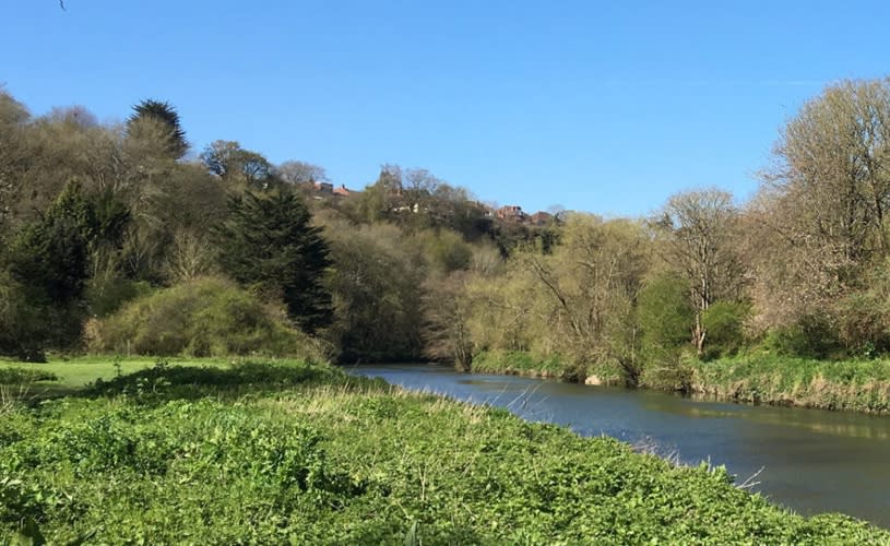 River and trees in Eastwood Farm - credit Bristol Barkers
