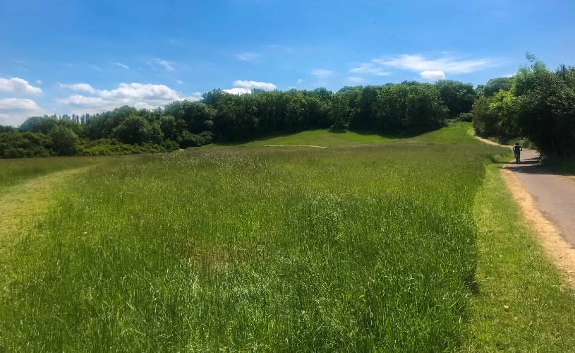 Fields at Stockwood Open Space - credit Angharad Paull