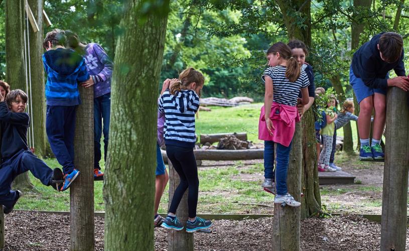 Children on low ropes at Mojo Active - credit Mojo Active
