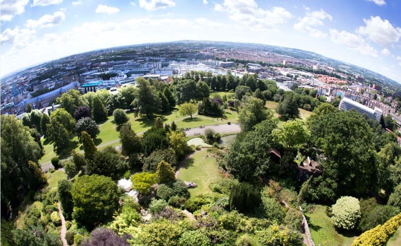 Aerial view of park