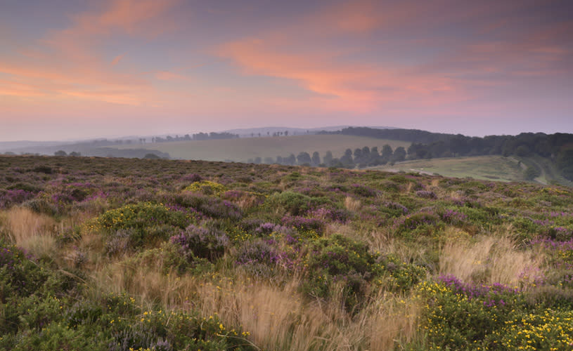 View over the Quantock Hills in West Somerset near Bristol - credit Stephen Spraggon