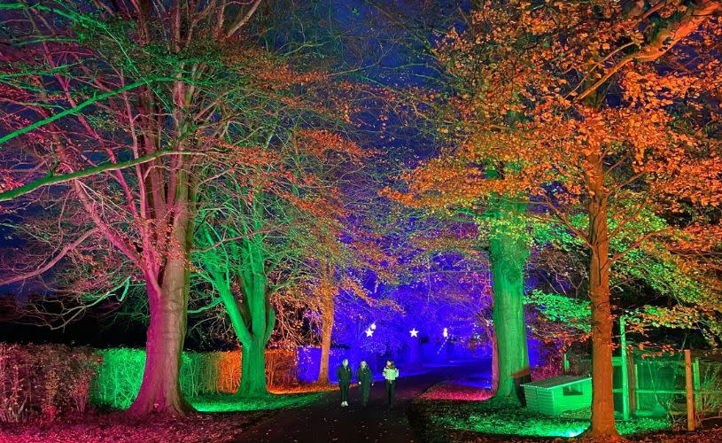 Festive Illumination at Old Down Estate - credit Old Down Estate