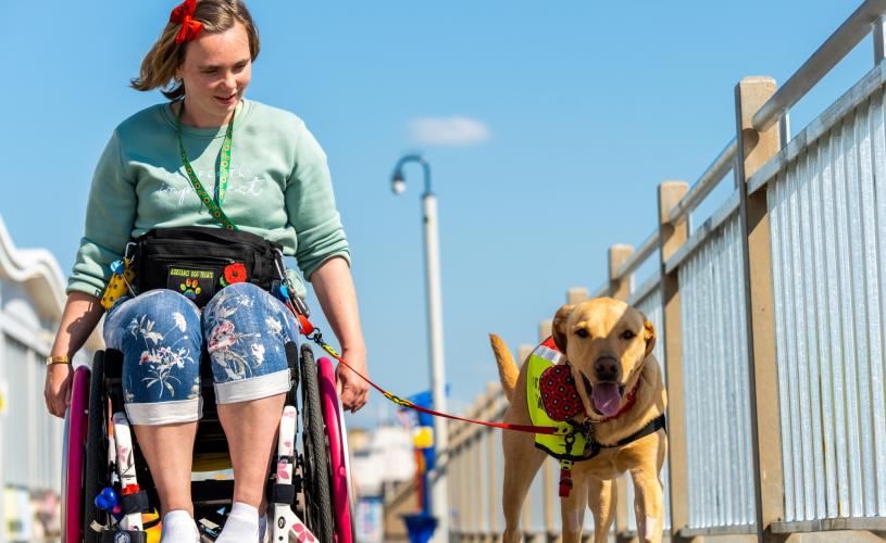 A wheelchair user and their dog on the Grand Pier at Weston-super-Mare near Bristol - credit The Grand Pier