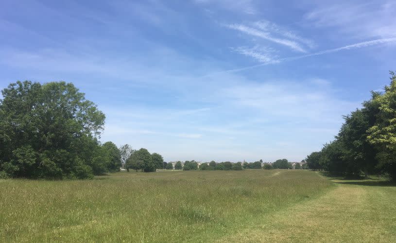 Clifton Down - credit Anna Stevens