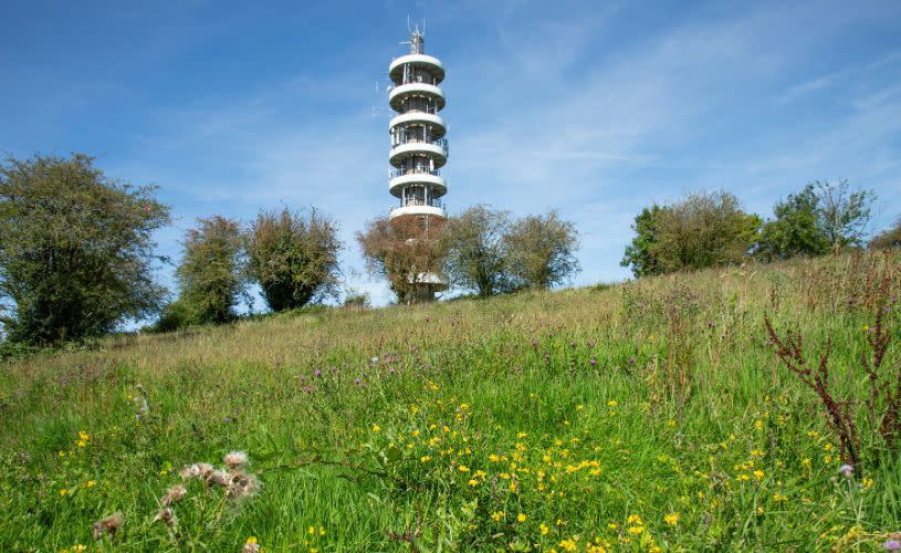 A tall telecommunications tower, cylindrical in shape, standing on a grassy slope surrounded by trees.