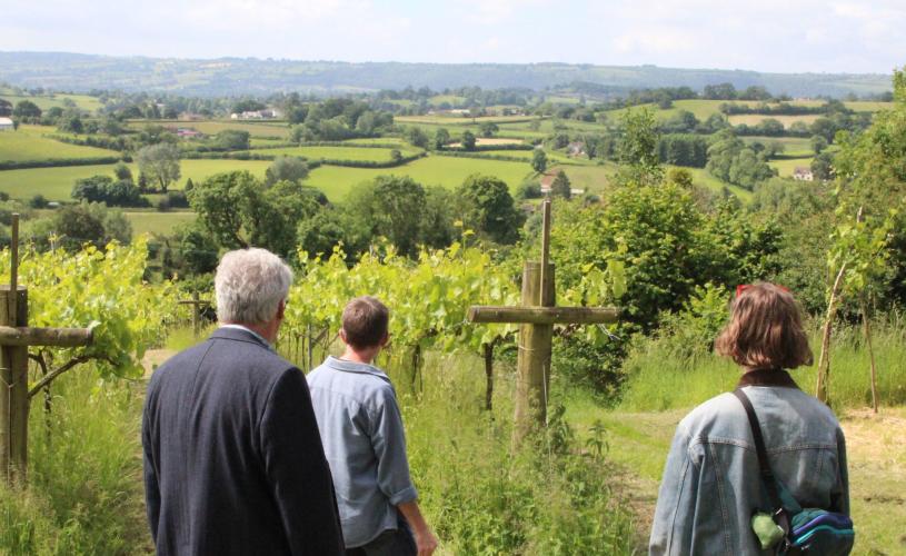 People standing at Limeburn Hill vineyard in North Somerset near Bristol - credit GOOD Stories in Food