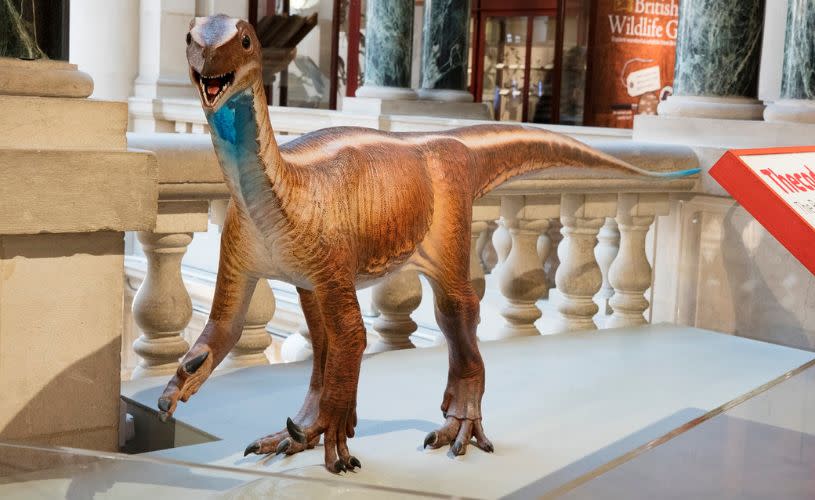 Thecodontosaurus - The Bristol Dinosaur at Bristol Museum & Art Gallery - credit Bristol Museum & Art Gallery