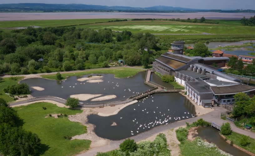 Aerial view of WWT Slimbridge Wetland Centre on the banks of the river Severn - credit WWT and Ben Kenobi