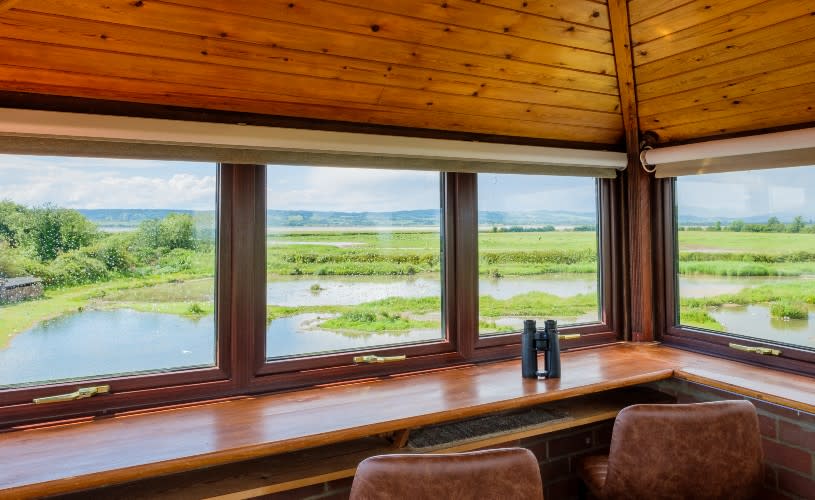 Bewick's Lodge at WWT Slimbridge - Credit Rupert Marlow