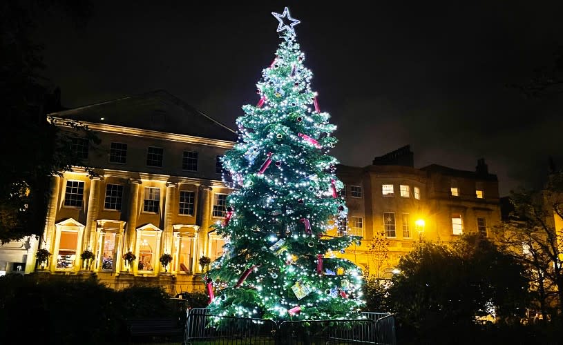 Christmas Tree in Clifton Village, Bristol - credit Clifton BID