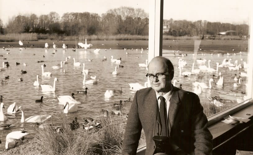 Sir Peter Scott sat in his study looking over the Rushy Lake at Slimbridge Wetland Centre - credit WWT