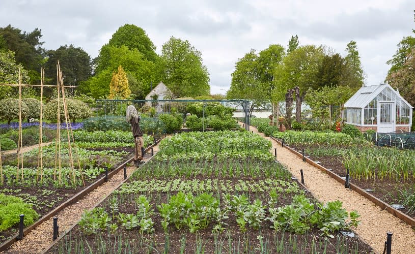 A vegetable garden at The Pig Near Bath - Credit The Pig Near Bath