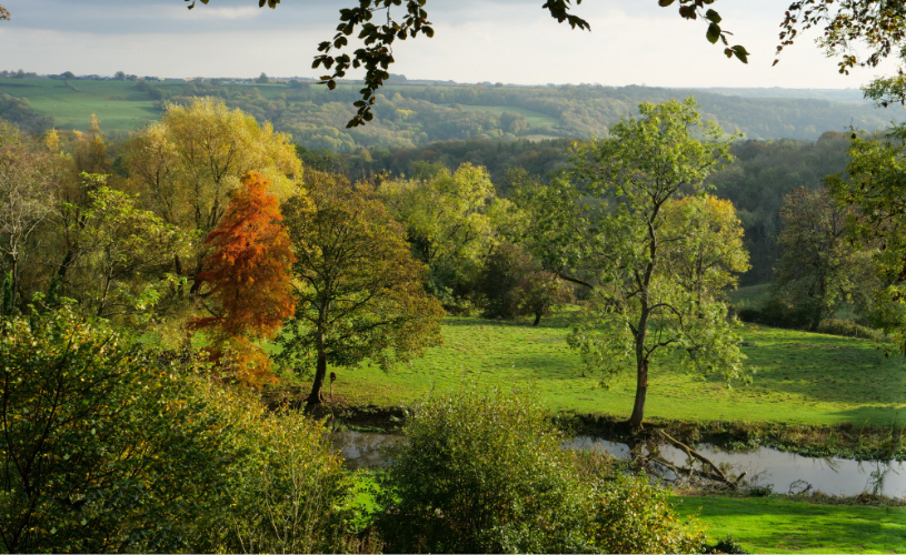 The grounds at Newark Park in Wotton-under-Edge near Bristol - credit Hilary Daniel