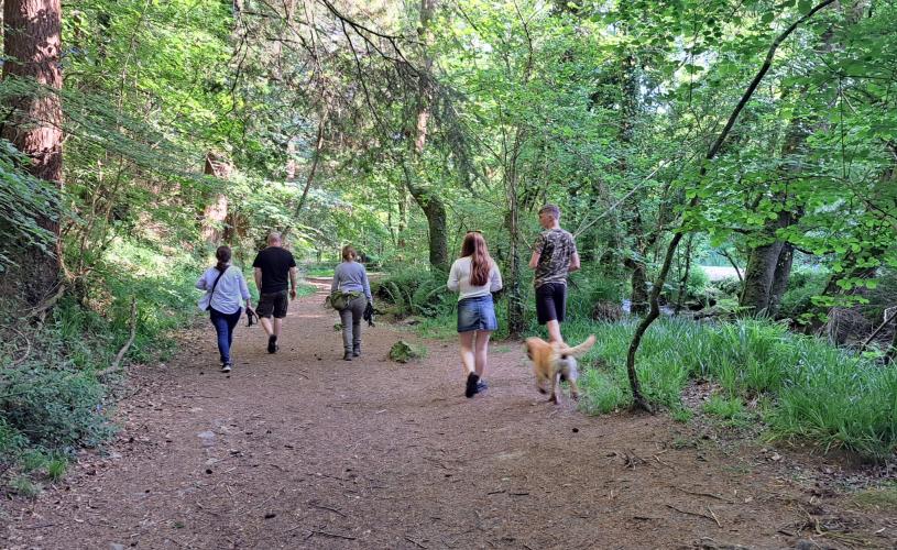 A family with a dog walking in woodland in Bristol - credit Jon Chamberlain