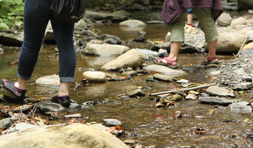 finger-lakes-forest-therapy-naples-hiking-water