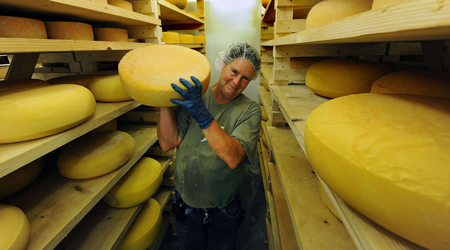 Chapel Hill Creamery Piedmont Farm Tour Annual Events Page