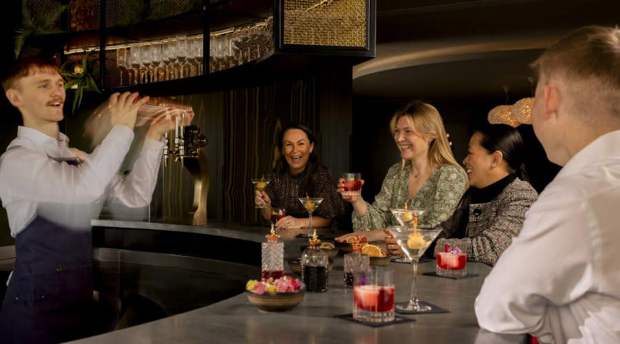 Hilton Puckrup - people enjoying cocktails and watching the barman shaking one