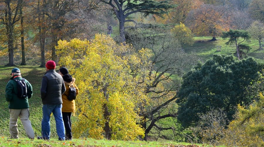 Dyrham Park
