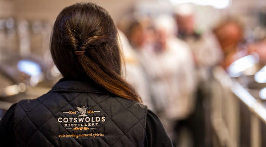 Group on a Cotswolds Distillery tour and tasting experience