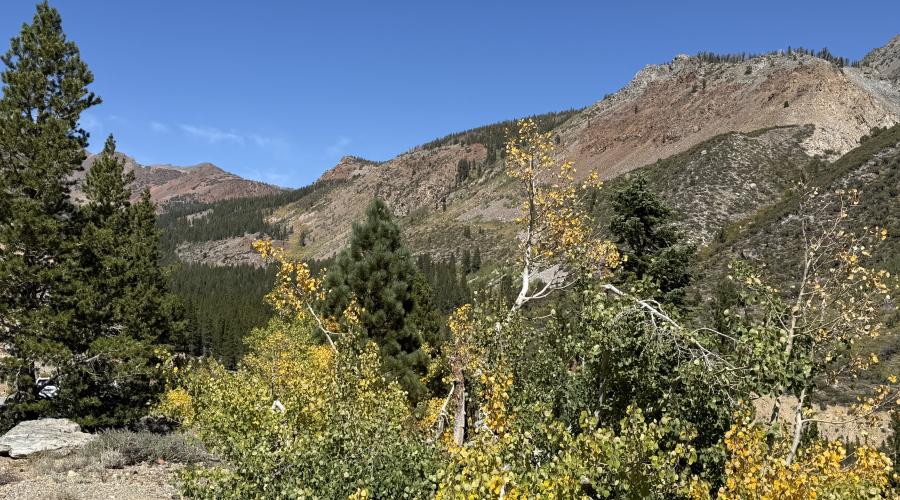9.14.26 Tioga Pass - Emily Bryant, Mono County Tourism