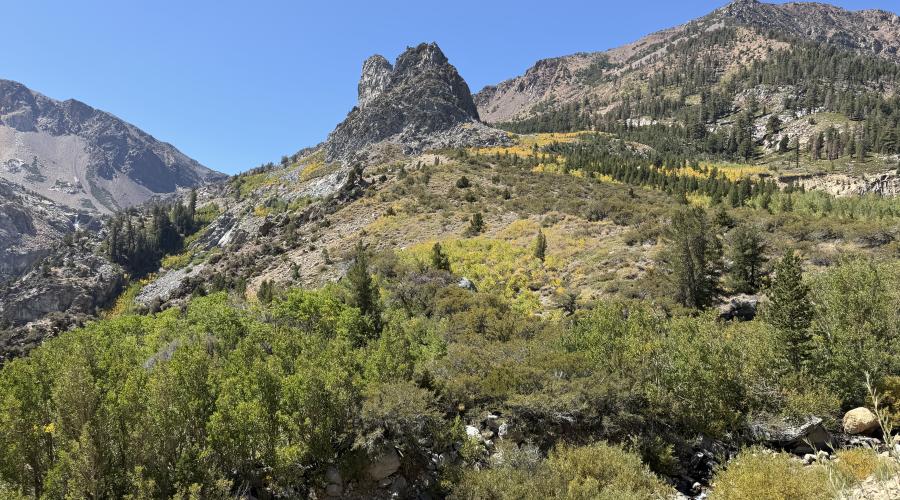 9.14.26 - Tioga Pass - Emily Bryant, Mono County Tourism