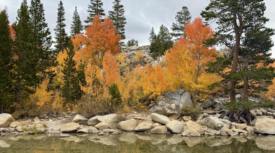 9.28.26 Rock Creek - Emily Bryant, Mono County Tourism