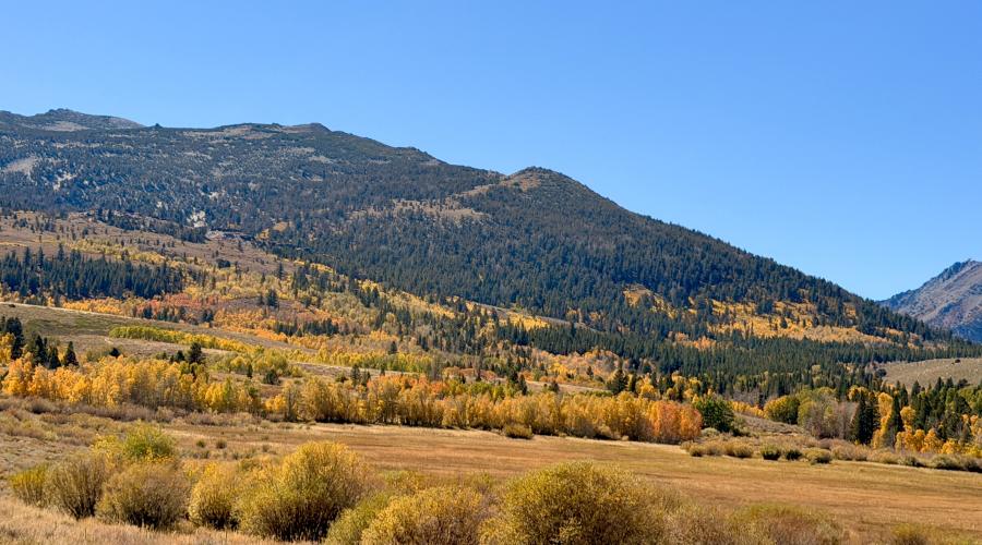 9.29.26 Dunderberg Meadow Road - Emily Bryant, Mono County Tourism