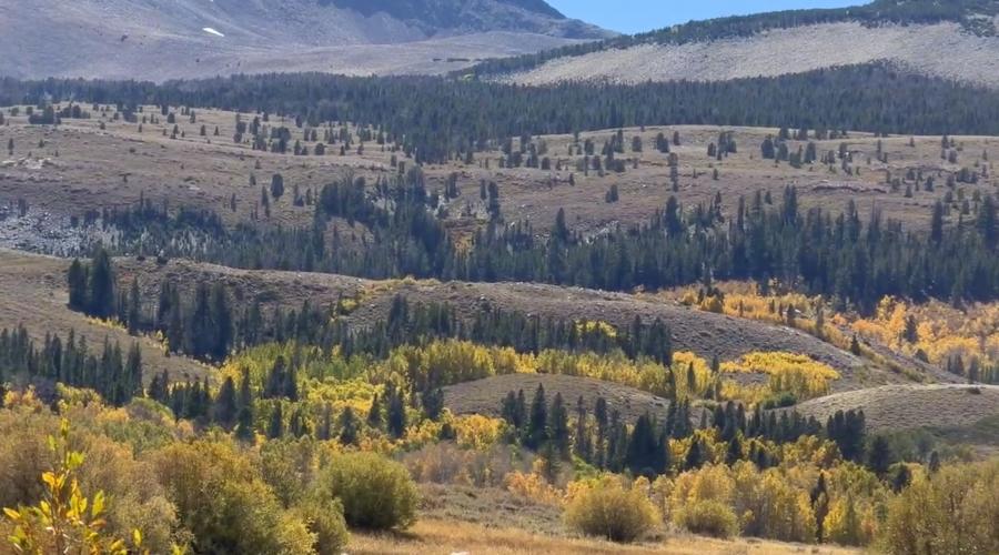 9.29.26 Dunderberg Meadow Road - Emily Bryant, Mono County Tourism