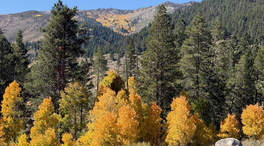 09.29.26 Twin Lakes, Bridgeport - Emily Bryant, Mono County Tourism