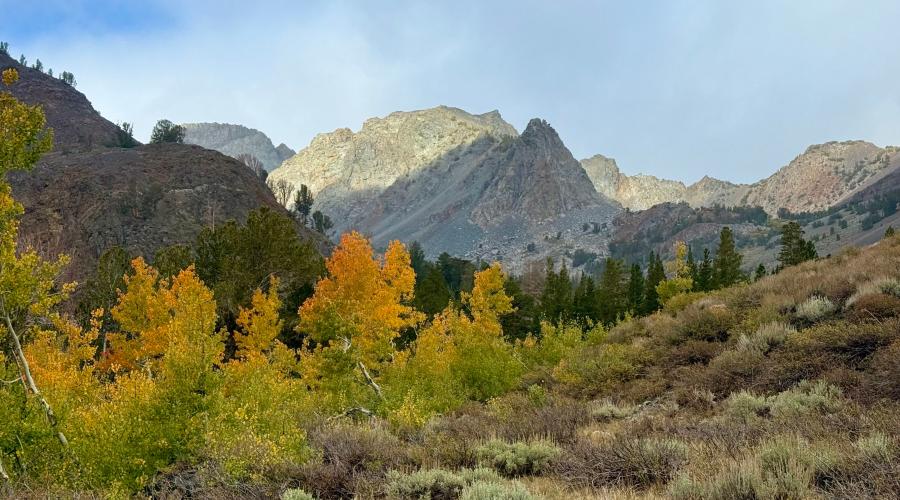 10.01.25 Virginia Lakes - Amanda Carlson, Mono County Tourism-