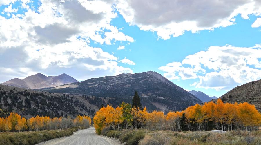 10.5.26 Green Creek -  Melinda Guerrero, Mono County
