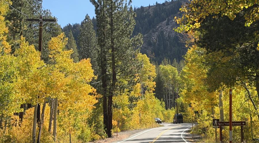 10.05.26 Silver Lake, June Lake Loop - Emily Bryant, Mono County Tourism