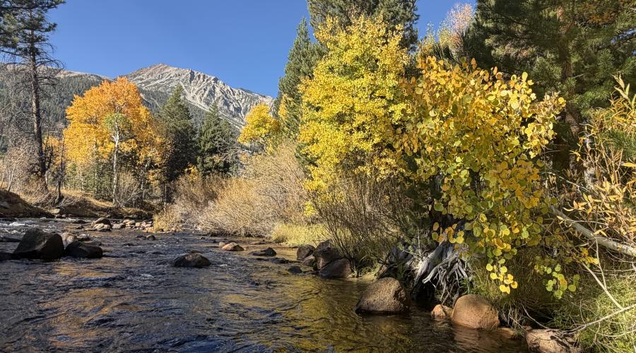 10.05.26 Lee Vining Creek - Emily Bryant, Mono County Tourism
