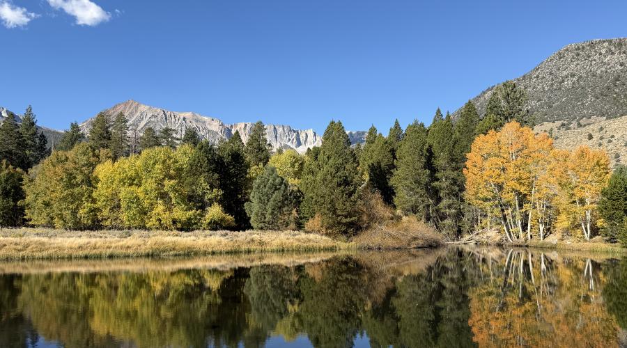 10.05.26 Lee Vining Creek - Emily Bryant, Mono County Tourism
