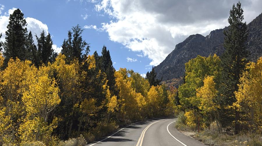 10.5.26 Rock Creek - Emily Bryant, Mono County Tourism