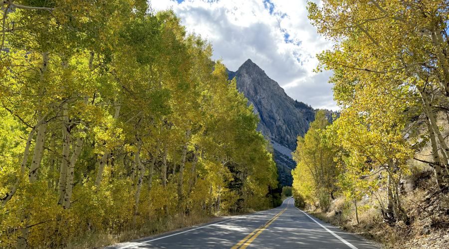 10.5.26 June Lake Loop - Emily Bryant, Mono County Tourism